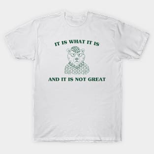 It Is What It Is And It Is Not Great , Funny Meme Cartoon bear Saying,  Sarcastic Retro 90s Graphic Gift, Mental Health T-Shirt